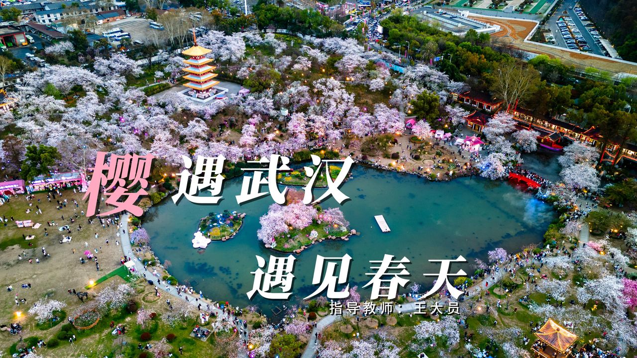 樱遇武汉 遇见春天